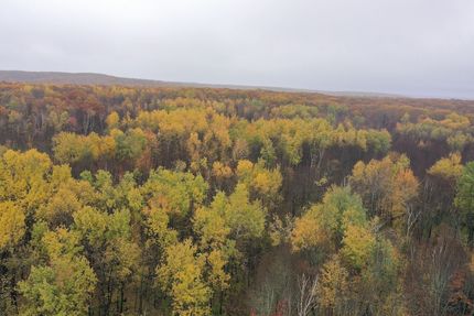 Property for sale in Rusk County, Wisconsin