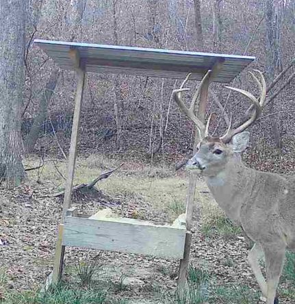 Property for sale in Winston County, Mississippi