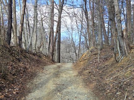 Hunting Land for sale in Franklin County, Virginia