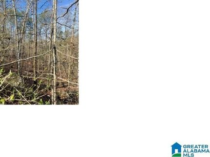 Property for sale in Talladega County, Alabama