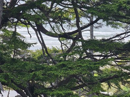 Undeveloped Land for sale in Grays Harbor County, Washington