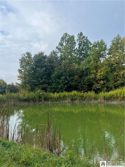 Undeveloped Land for sale in Chautauqua County, New York