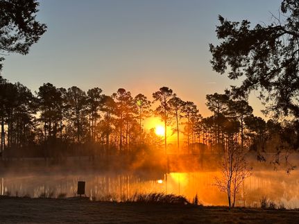 Hunting Land for sale in Candler County, Georgia