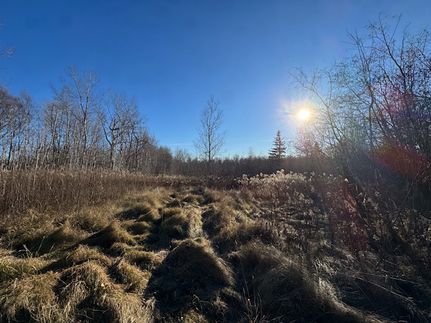 Residential Property for sale in Saint Louis County, Minnesota