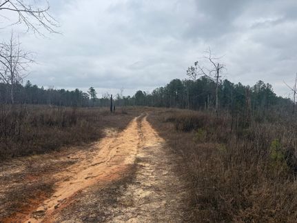 Property for sale in Pickens County, Alabama