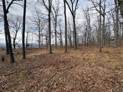 Residential Property for sale in Hardy County, West Virginia