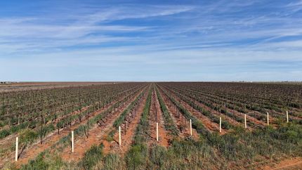 Property for sale in Terry County, Texas