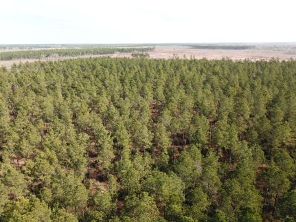 Residential Property for sale in Sabine Parish, Louisiana