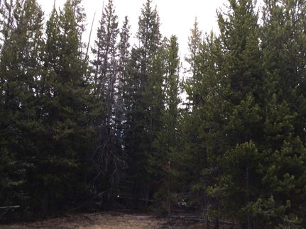 Property for sale in Carbon County, Wyoming