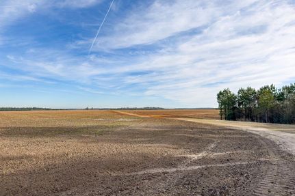 Farm Property for sale in Calhoun County, South Carolina