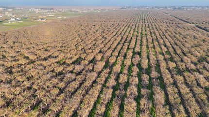 Property for sale in Madera County, California