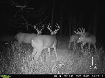 Undeveloped Land for sale in Neosho County, Kansas