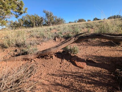 Recreational Property for sale in Apache County, Arizona