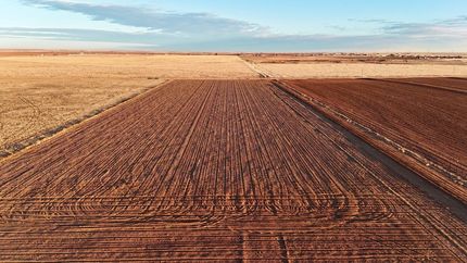 Undeveloped Land for sale in Lubbock County, Texas