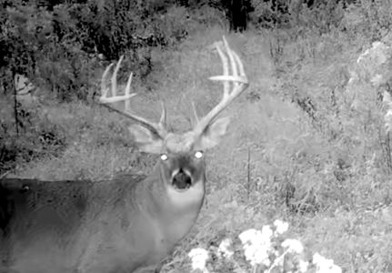 Recreational Property for sale in Marion County, Illinois