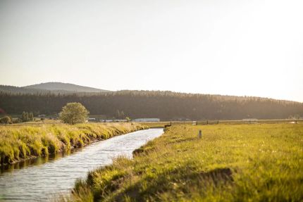 Hunting Land for sale in Klamath County, Oregon