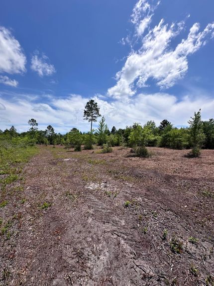 Hunting Land for sale in Bryan County, Georgia