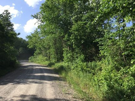 Timberland Property for sale in Perry County, Arkansas