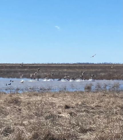 Property for sale in New Madrid County, Missouri