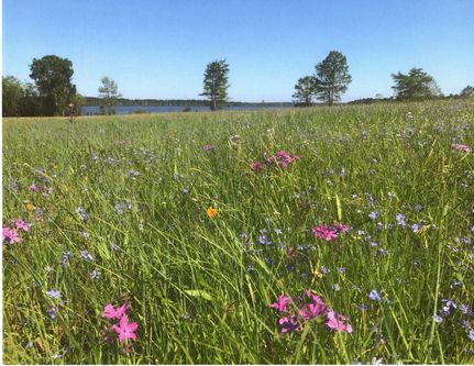 Residential Property for sale in Lafayette County, Arkansas