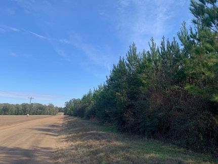 Undeveloped Land for sale in Polk County, Texas