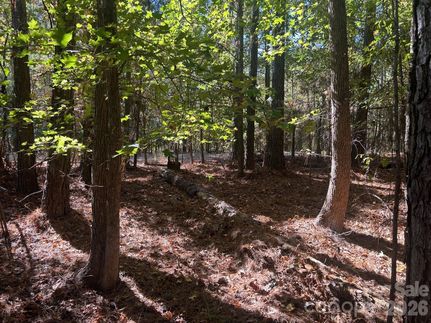 Property for sale in Chester County, South Carolina