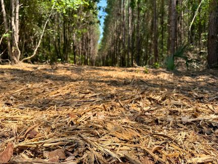 Hunting Land for sale in Polk County, Texas