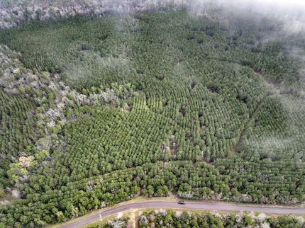 Undeveloped Land for sale in Houston County, Texas