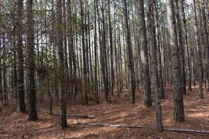 Hunting Land for sale in Union County, Arkansas