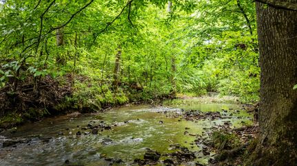 Property for sale in Pike County, Arkansas