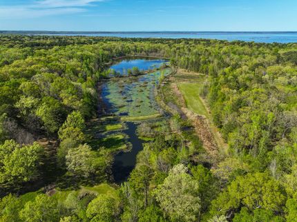 Hunting Land for sale in Little River County, Arkansas