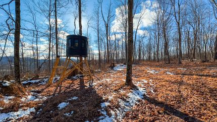 Property for sale in Pike County, Ohio