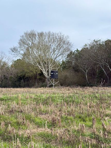 Property for sale in Covington County, Alabama