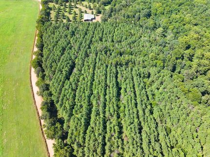 Hunting Land for sale in Sevier County, Arkansas