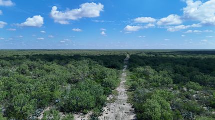 Undeveloped Land for sale in Dimmit County, Texas