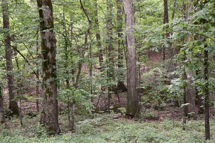 Timberland Property for sale in Poinsett County, Arkansas