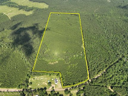 Undeveloped Land for sale in Tyler County, Texas