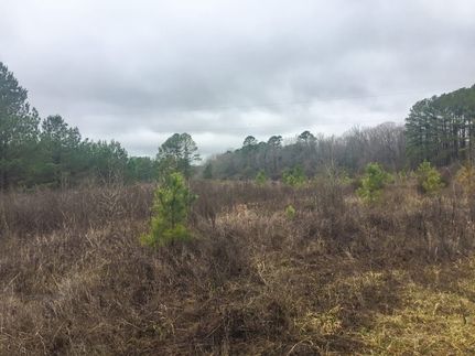 Timberland Property for sale in Garland County, Arkansas