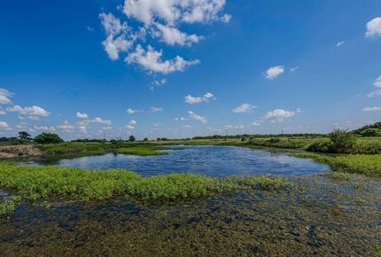 Horse Property for sale in Eastland County, Texas