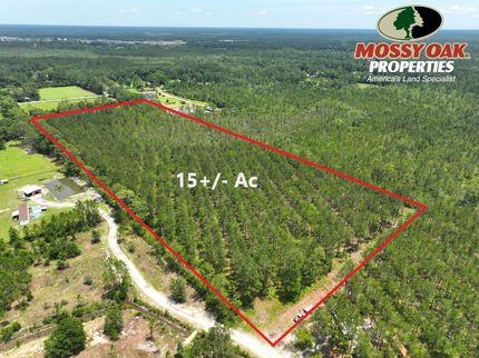 Undeveloped Land for sale in Ware County, Georgia