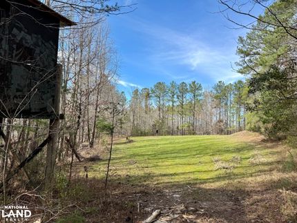 Hunting Land for sale in Clarke County, Alabama