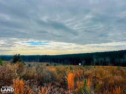 Recreational Property for sale in Dale County, Alabama