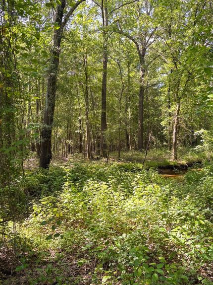 Property for sale in Perry County, Arkansas