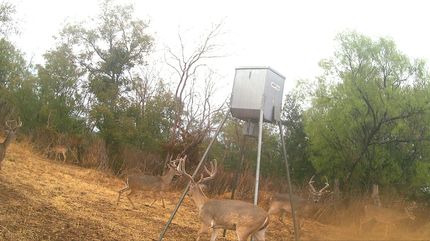 Ranch Property for sale in Lampasas County, Texas