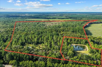 Hunting Land for sale in Camden County, Georgia