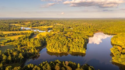 Hunting Land for sale in Wood County, Texas