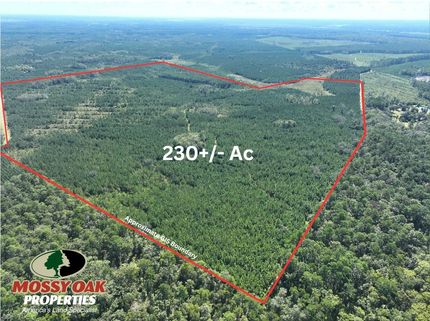 Property for sale in Camden County, Georgia
