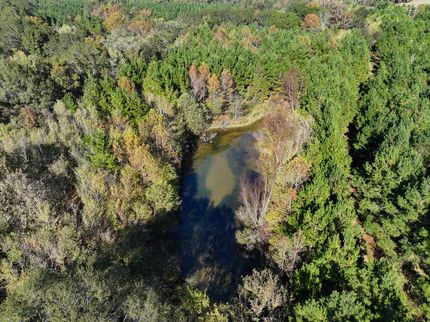 Timberland Property for sale in Howard County, Arkansas