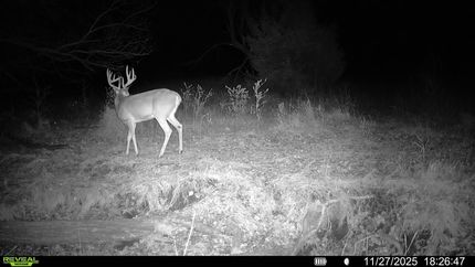 Hunting Land for sale in Pawnee County, Kansas