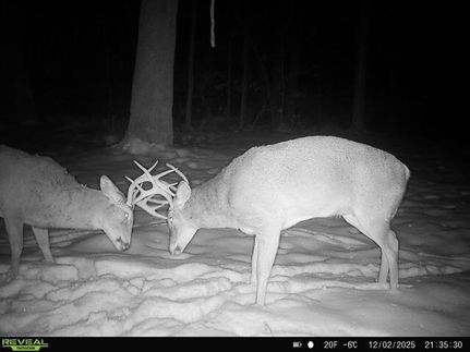 Property for sale in Cass County, Illinois